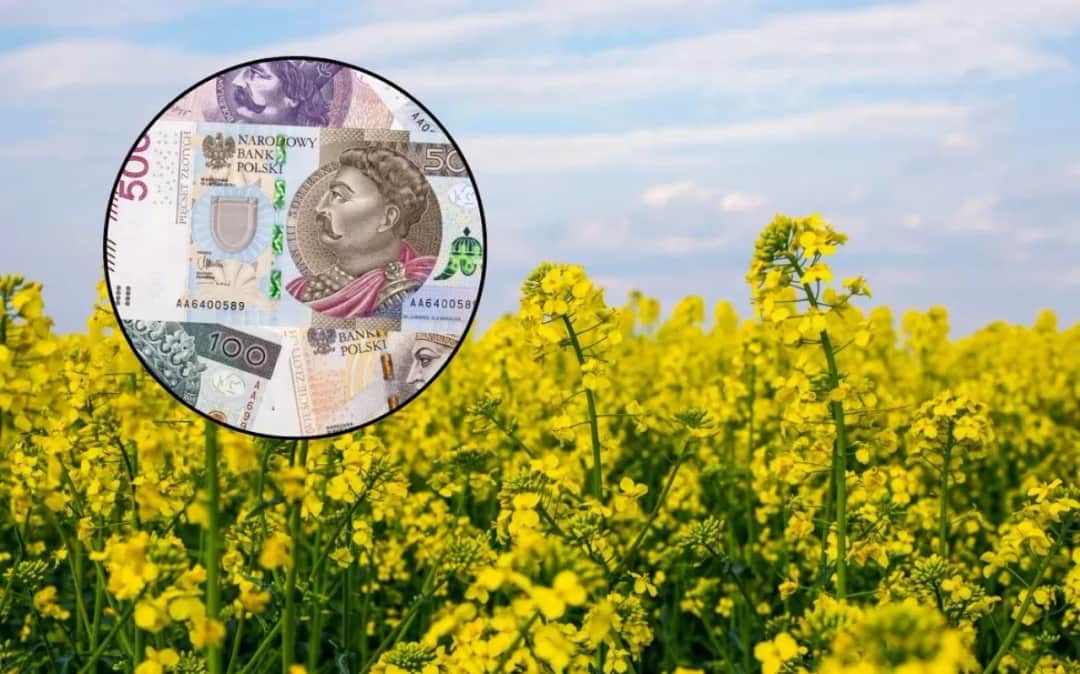 Fundusz ochrony rolnictwa od kiedy? Kluczowe daty i znaczenie dla rolników