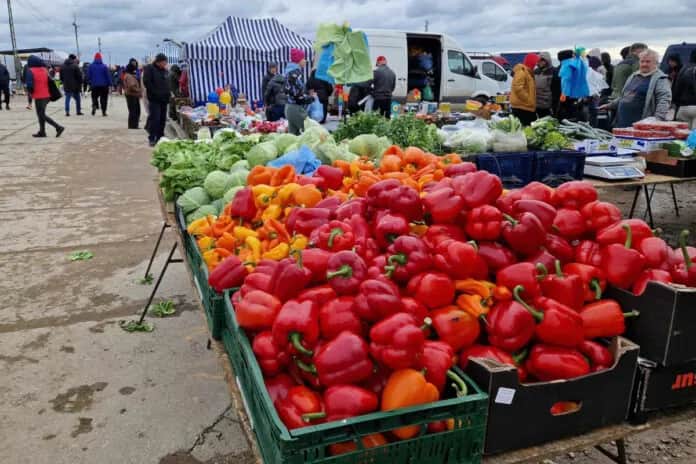 Giełda Słomczyn - co można kupić? Sprawdź, co warto znaleźć!